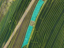 Prodej zahrady, Maršov, 31902 m2