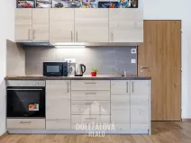 Pronájem bytu 1+kk, Třešť, Nádražní, 32 m2