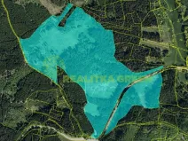 Prodej lesa, Zlín, 179312 m2
