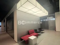 Pronájem kanceláře, Brno, Purkyňova, 50 m2