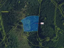 Dražba lesa, Lhota Rapotina, 1938 m2