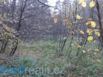 Prodej pozemku, Český Těšín, 3946 m2