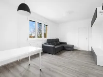 Pronájem bytu 3+kk, Brno, Merhautova, 55 m2