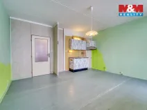 Prodej bytu 1+kk, Plzeň - Bolevec, Nýřanská, 27 m2