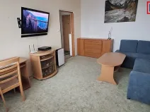 Pronájem bytu 1+1, Křižanov, 31 m2