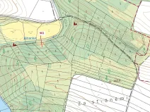 Dražba lesa, Mladoňovice, 961 m2