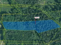 Dražba lesa, Stehlovice, 11078 m2