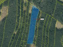 Dražba lesa, Psárov, 15717 m2