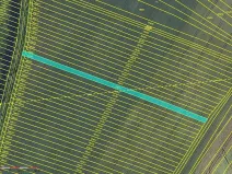 Prodej pole, Moravská Nová Ves, 952 m2