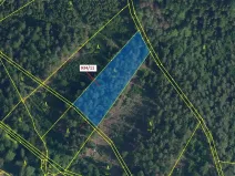 Dražba lesa, Jílové u Držkova, 3439 m2