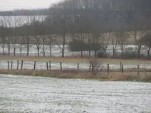 Dražba louky, Chotěšice, 11382 m2