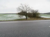 Dražba louky, Chotěšice, 11382 m2