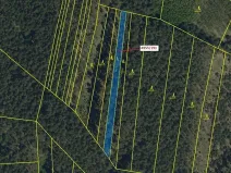 Dražba lesa, Vracov, 1174 m2