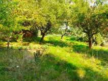 Prodej chaty, Mnichovo Hradiště, Klášterská, 12 m2