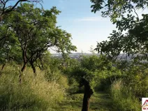 Prodej zahrady, Brno - Židenice, 1227 m2