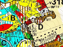 Dražba lesa, Spešov, 420 m2