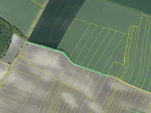 Dražba pole, Chotěšov, 7368 m2