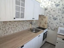 Pronájem bytu 1+1, Bílina, Aléská, 27 m2