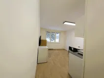 Pronájem bytu 1+kk, Sokolov, Mičurinova, 21 m2