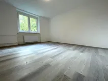 Pronájem bytu 1+1, Litvínov, Horská, 42 m2