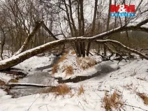 Prodej rybníku, Dolní Hořice - Pořín, 8552 m2