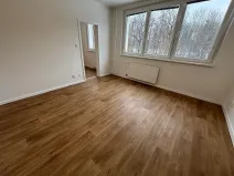 Pronájem bytu 2+1, Paskov, Papírenská, 45 m2