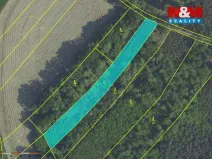 Prodej lesa, Svatý Mikuláš, 20624 m2