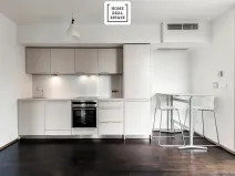 Pronájem bytu 1+kk, Praha - Žižkov, Pitterova, 47 m2