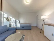 Pronájem bytu 1+1, Praha - Záběhlice, Sasanková, 36 m2