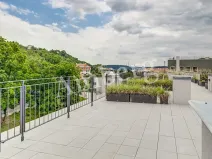 Pronájem bytu 1+kk, Praha - Vinohrady, Perucká, 26 m2