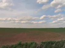 Prodej podílu pole, Vyšehořovice, 1785 m2