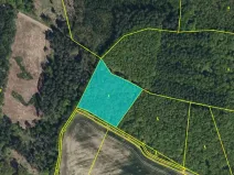 Dražba lesa, Kasalice, 7304 m2