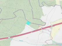 Dražba lesa, Kasalice, 7304 m2