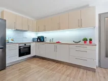 Pronájem bytu 2+kk, Brno, Cejl, 58 m2