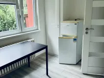 Pronájem bytu 1+1, Frýdek-Místek, Jeronýmova, 39 m2