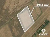 Prodej pole, Blížkovice, 3961 m2