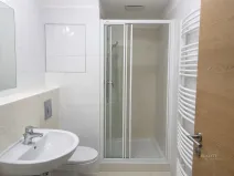 Pronájem bytu 1+kk, Brno - Líšeň, Horníkova, 30 m2