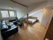 Pronájem bytu 1+1, Brno, Jircháře, 49 m2