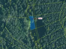 Dražba lesa, Hosty, 418 m2