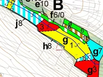 Dražba lesa, Hosty, 323 m2