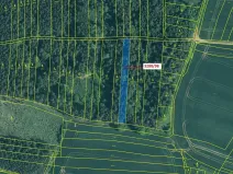 Dražba lesa, Hosty, 1685 m2