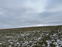 Dražba pole, Litoměřice, 8107 m2