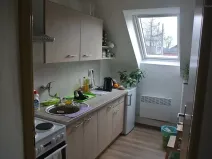 Pronájem bytu 1+1, Nový Jičín, Jičínská, 25 m2