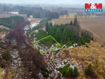 Prodej lesa, Česká Bělá, 1126 m2