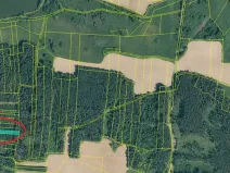 Prodej lesa, Myslív, 4556 m2