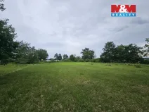 Prodej lesa, Tuřice, 7985 m2