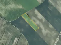 Prodej pole, Mutěnice, 26029 m2