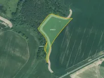 Prodej pole, Bor, 44369 m2