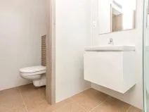 Pronájem bytu 1+kk, Praha - Žižkov, Jana Želivského, 38 m2