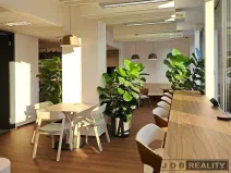 Pronájem kanceláře, Praha - Nusle, Lomnického, 80 m2